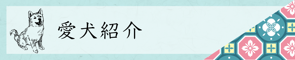 愛犬紹介
