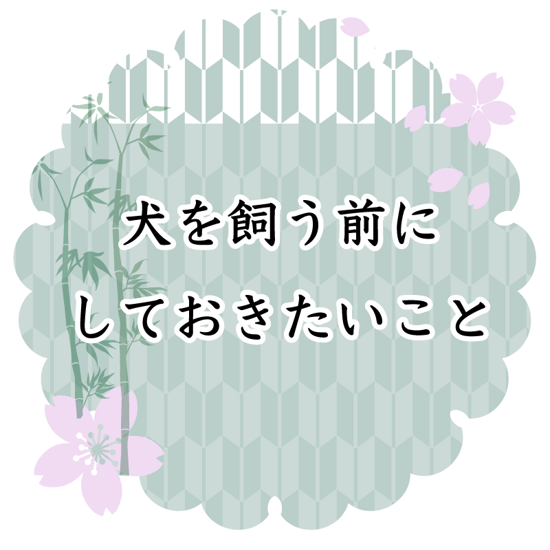 犬を飼う前にしておきたいこと
