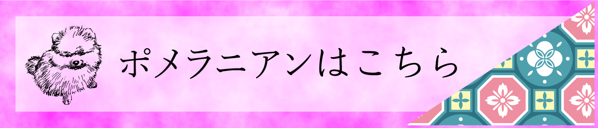 ポメラニアンについて
